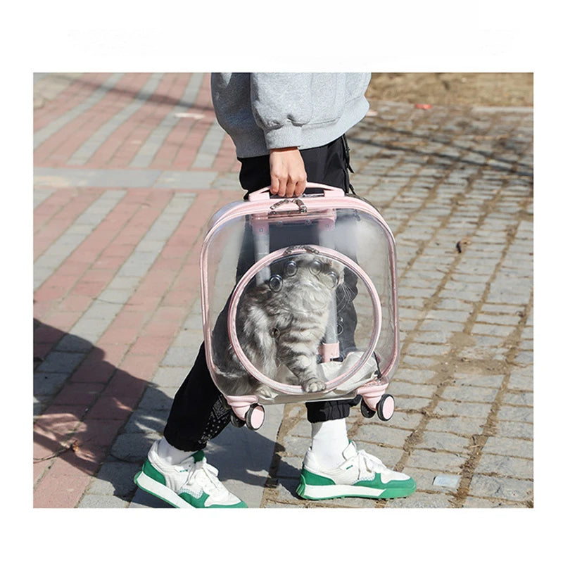 Valise à roulettes pour chien et chat, valise transparente, sac à dos respirant pour animal de compagnie, poussette