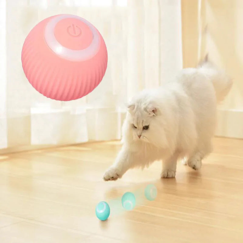 Jouets électriques de boule de chat jouets intelligents de chat de roulement automatique pour des jouets de chaton de formation de chats auto-mobiles pour le jeu interactif d'intérieur