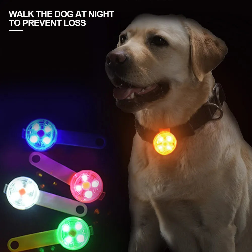 Colliers Anti-perte pour chiens, pendentif de sécurité étanche, lumière clignotante LED, LED rechargeable par USB, pendentif pour chiens, chats, animaux de compagnie