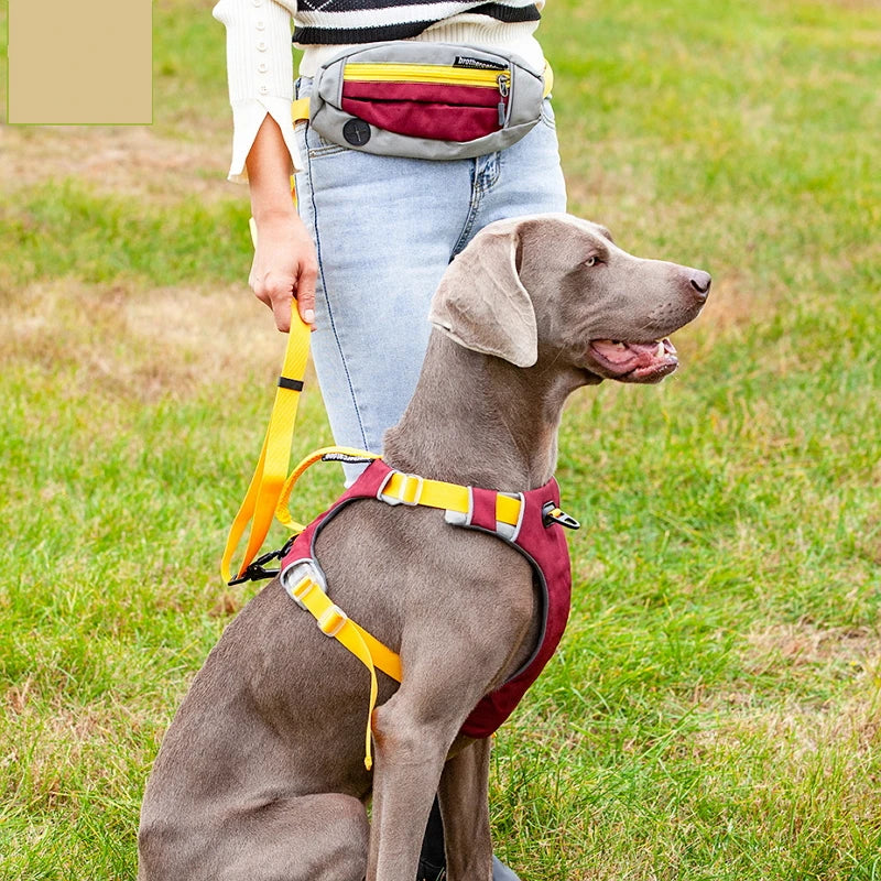 Productos para mascotas, accesorios para perros, arnés de nailon, ayuda para el comportamiento, Collar, correa para el pecho, correa acolchada para exteriores, chaleco pequeño y grande