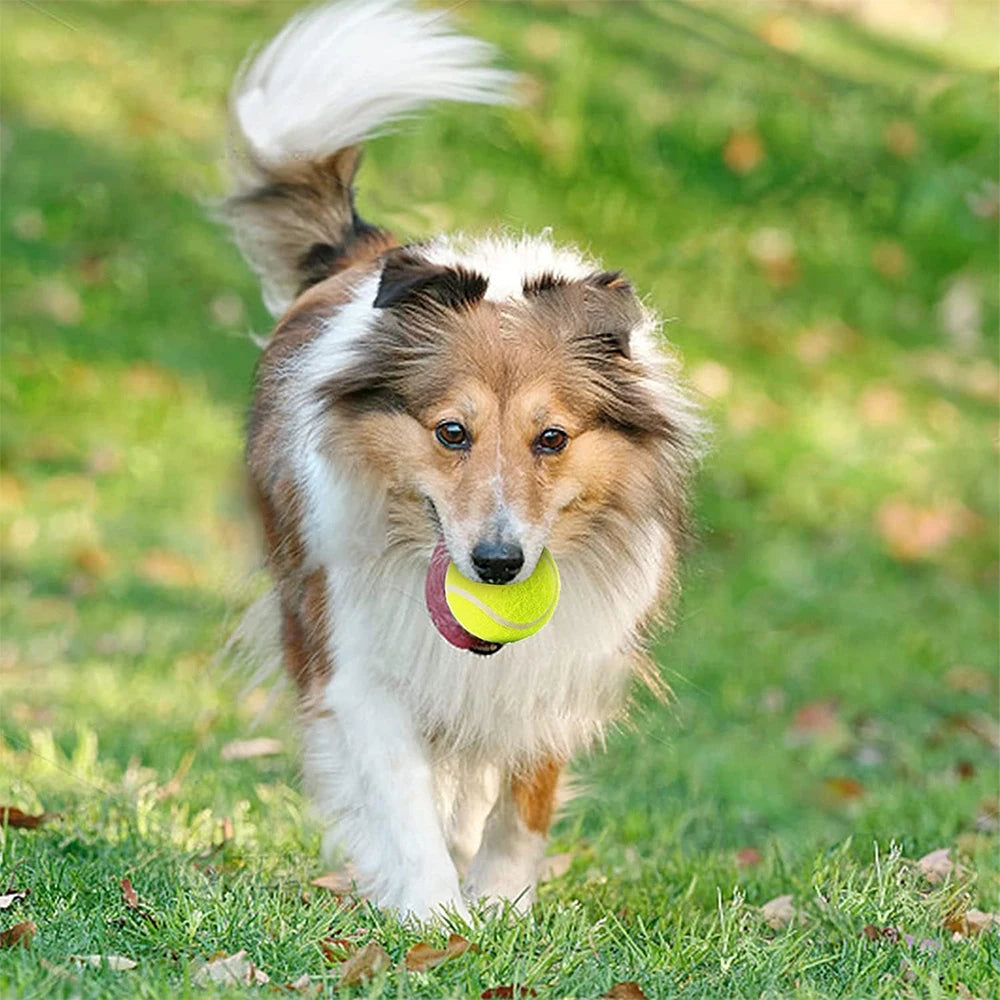 Lanzador de tenis de 6 uds., pelota especial de 5cm para perros, máquina de lanzamiento de tenis profesional elástica, juguete portátil, solo la pelota, sin máquina