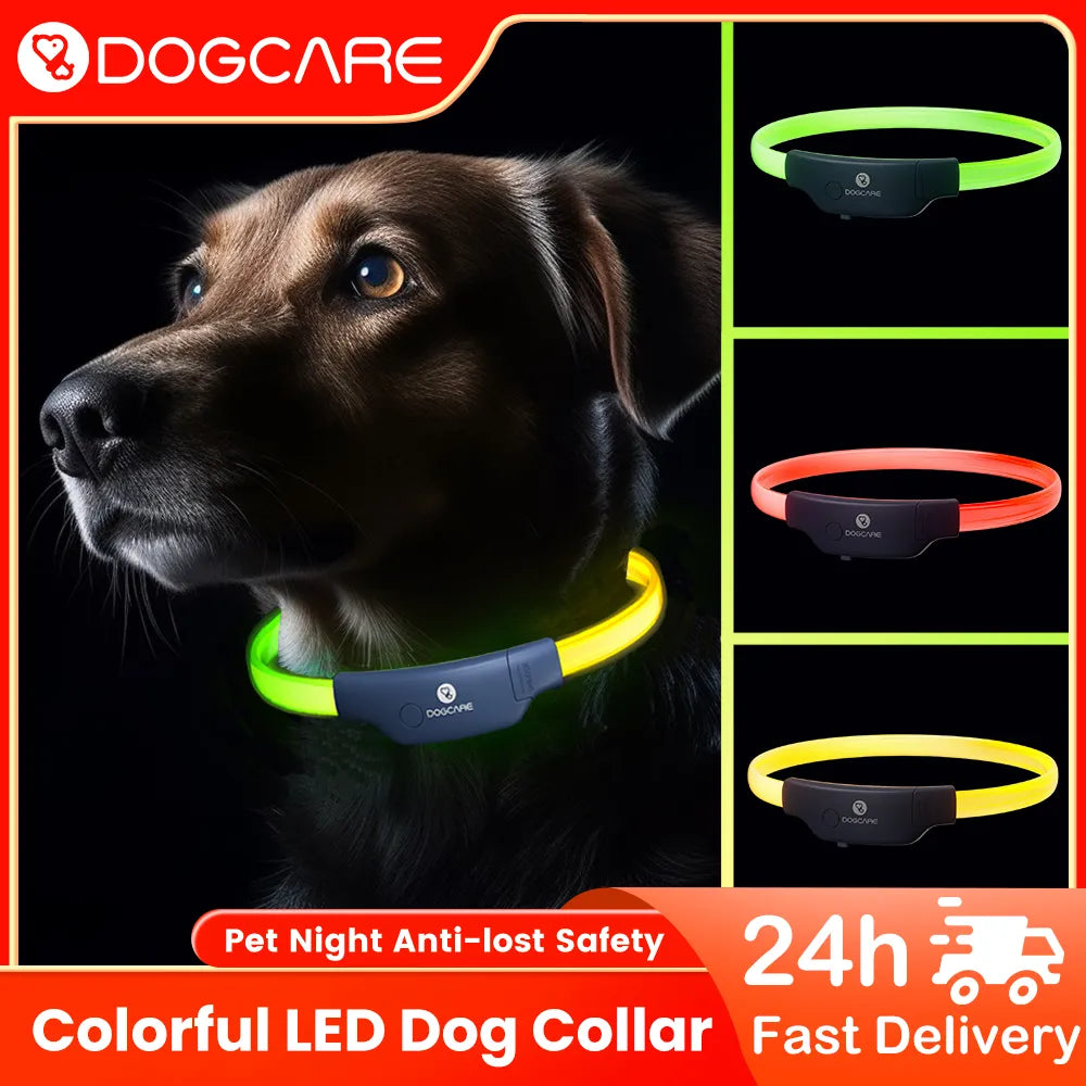 Collier LED pour chien et chat, lumineux et coloré, Visible à 300m, Anti-perte, IP67, Rechargeable, accessoires pour animaux de compagnie, chat et chien