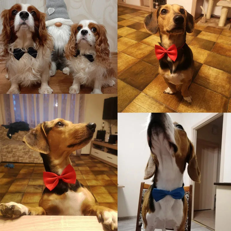 Collar con nudo para perro y gato, correa ajustable divertida y bonita, accesorios para perros, corbata para mascotas, suministros para cachorros, estilo de moda