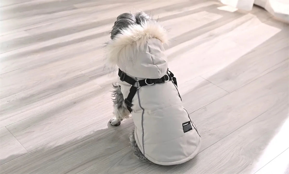 Vêtements d'hiver pour chiens, Parka de luxe avec col en fourrure pour petits chiens, imperméable, rembourré, chaud, veste pour animaux de compagnie avec harnais et fermeture éclair