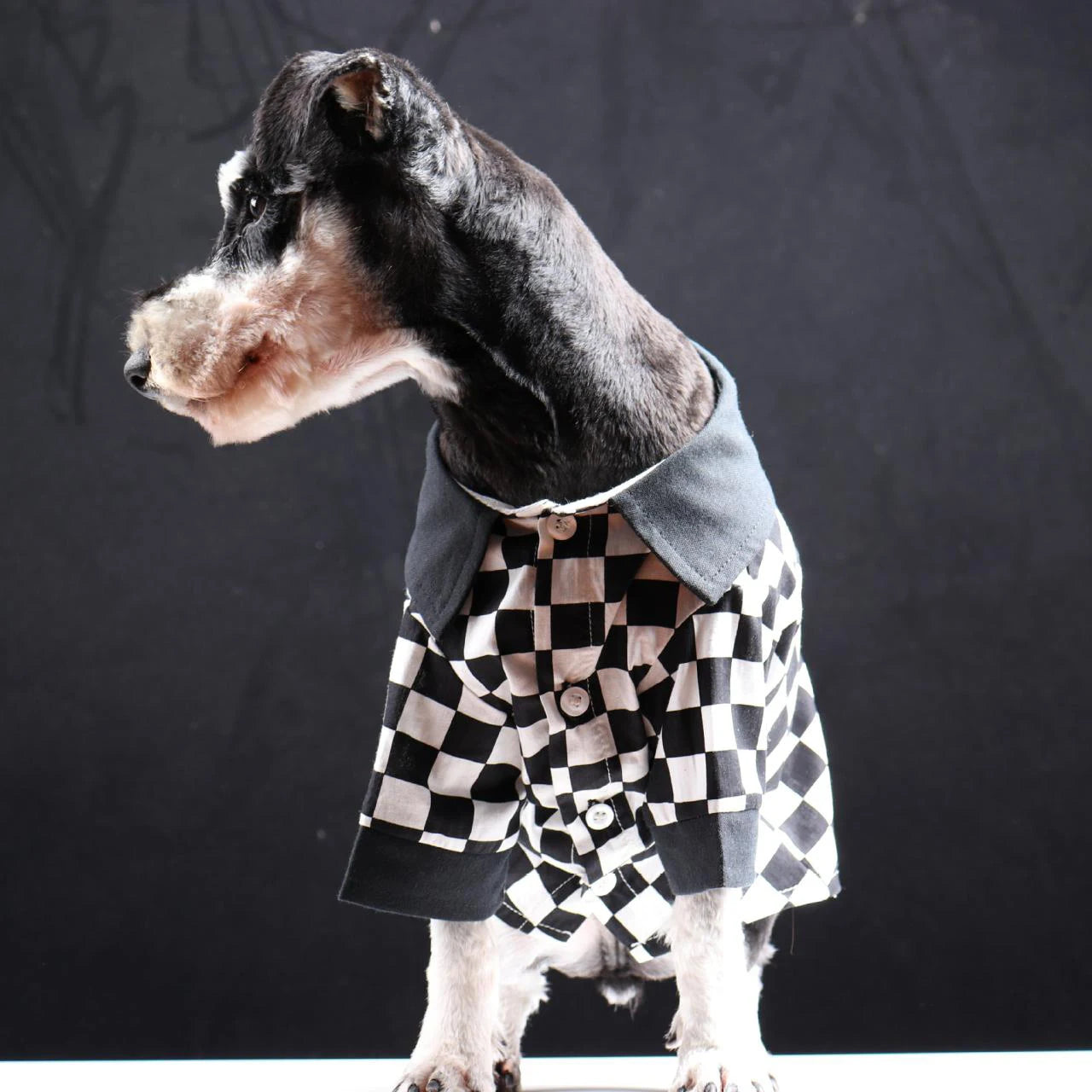 Spring Summer Pet Dog Clothes Black & White Checker Pattern Dog Shirt for Small Dogs Boy Soft Breathable Fashion Puppy Clothing Fashion Style