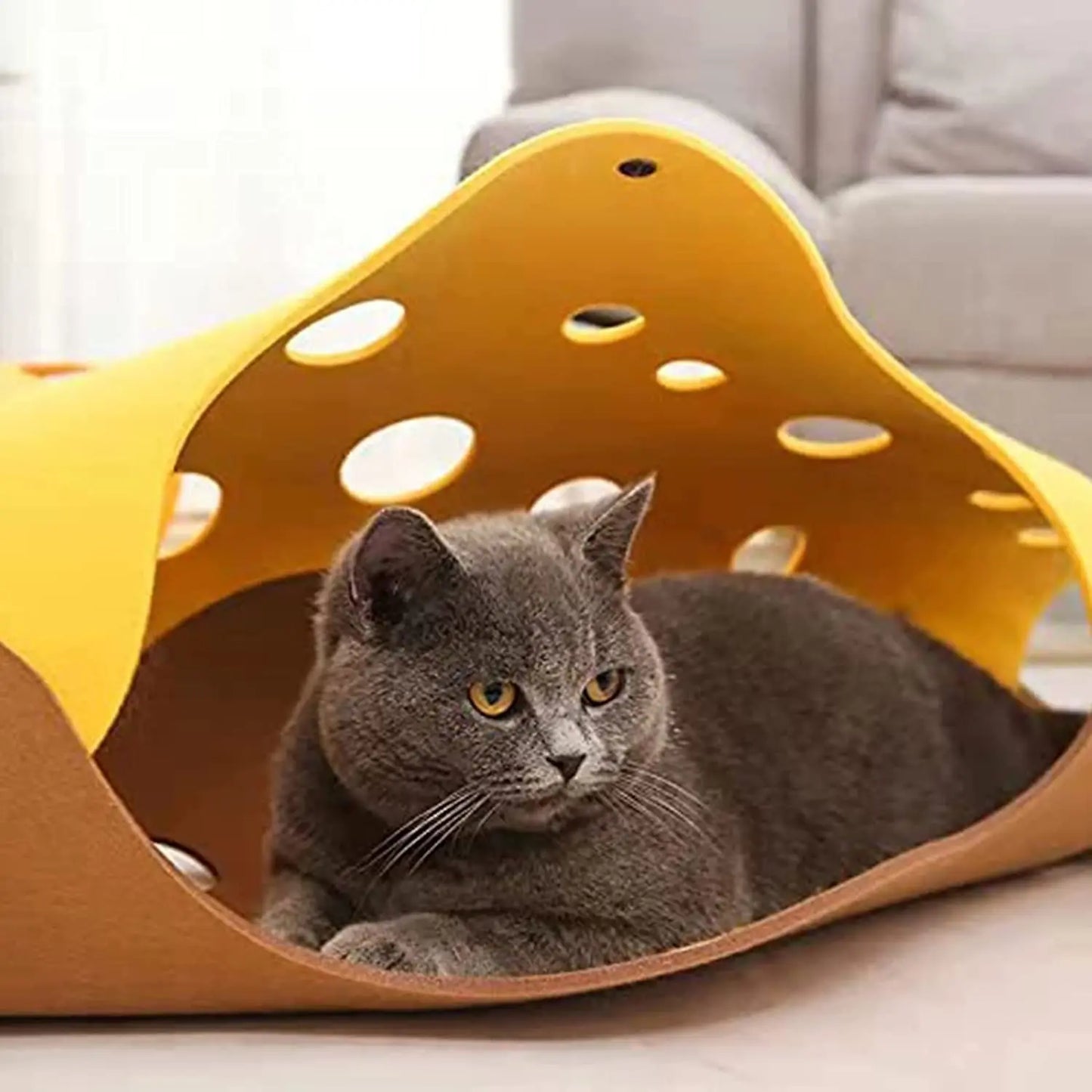 Lit Tunnel pliable pour animaux de compagnie, lit tubulaire avec trous, tapis de jeu pour chats, tapis d'activité, jouet interactif