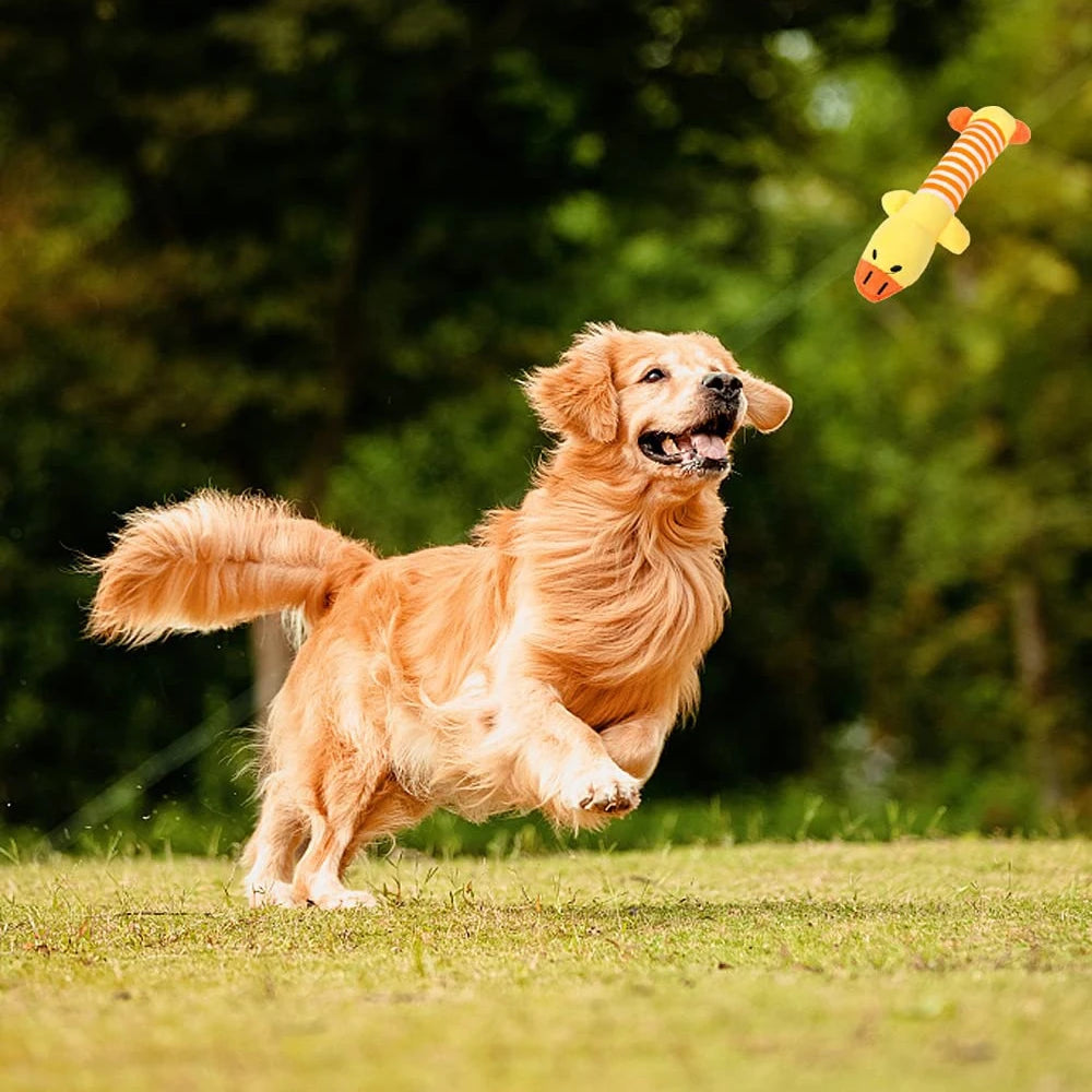 Vida creativa, juguetes interactivos para perros, chirriador para masticar para cachorros, sonido de peluche, cerdo, elefante, pato, juguetes con sonido para perros