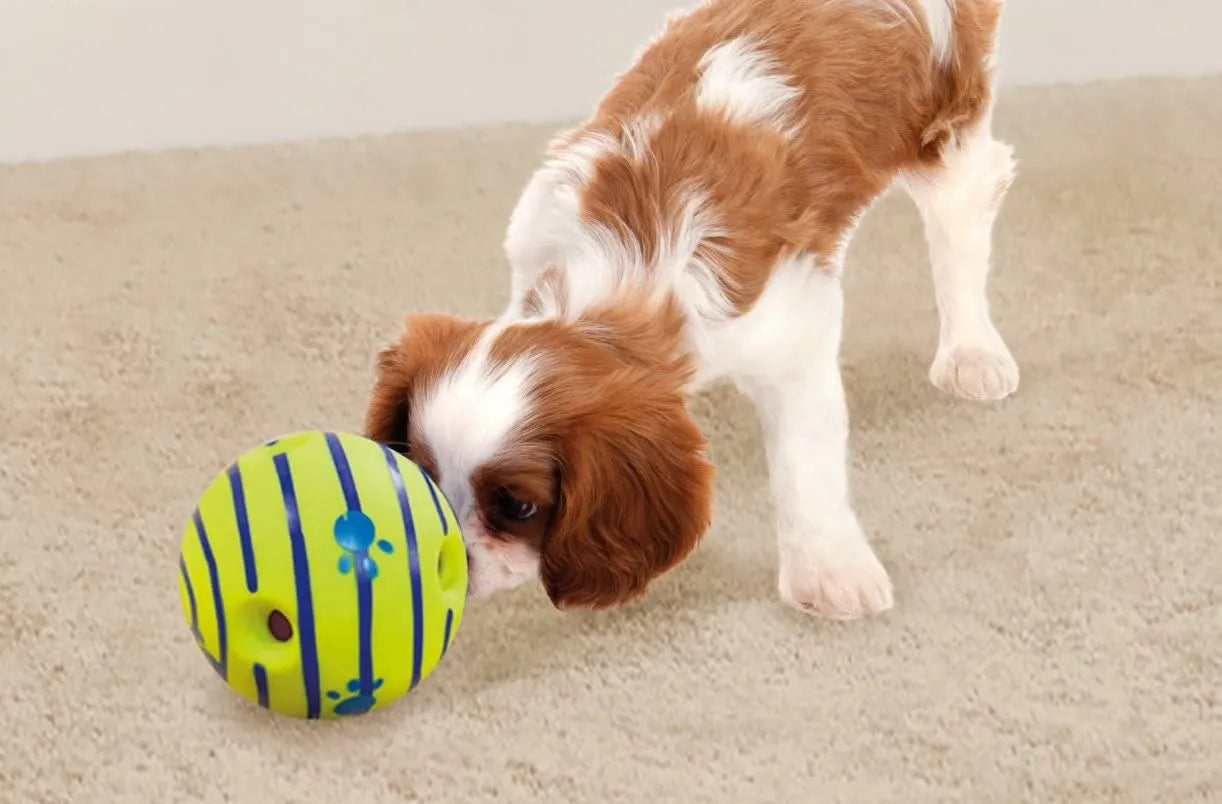 Wobble Wag Giggle Glow Ball Juguete interactivo para perros Sonidos divertidos de risa cuando se enrolla o se agita Las mascotas saben mejor como se ve en la televisión