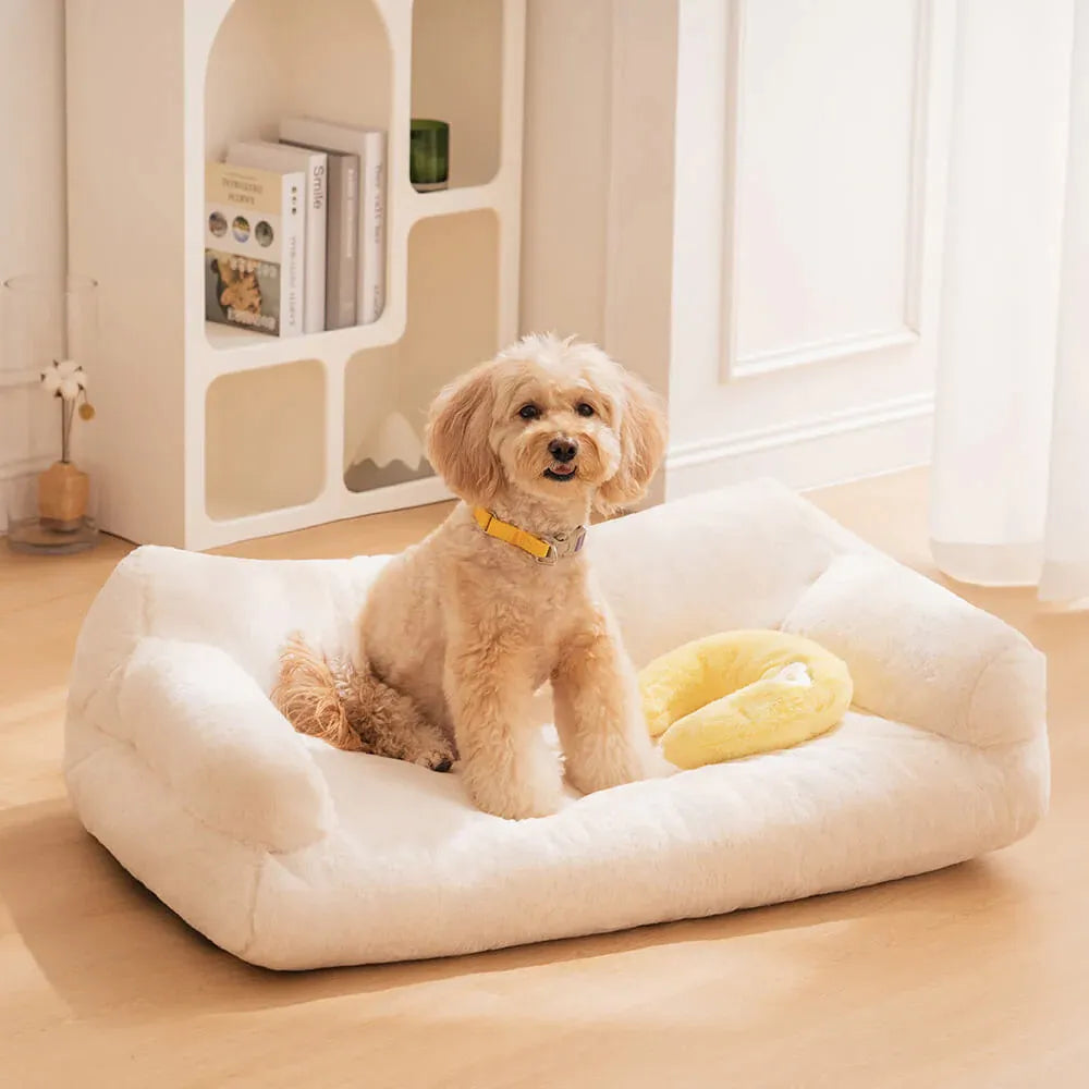 Sofá para gatos y casa para mascotas para todas las estaciones de Meowoof, perfecto para sus compañeros felinos y caninos Cama versátil para mascotas para gatos y perros