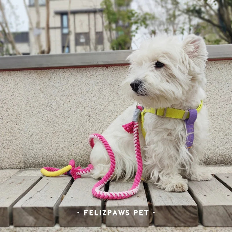 Correas tejidas a mano para perros, correas coloridas de hilo de algodón para perros pequeños, Entrenamiento de mascotas, correr, caminar, accesorios de cuerdas para perros exteriores