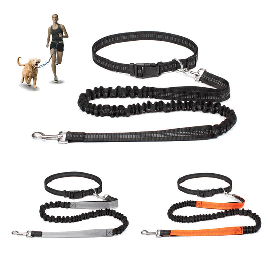 Laisse de chien mains libres pour animaux de compagnie, marche, course, Jogging, réglable, ceinture de taille, sangle de poitrine, corde de Traction, accessoires pour chiens