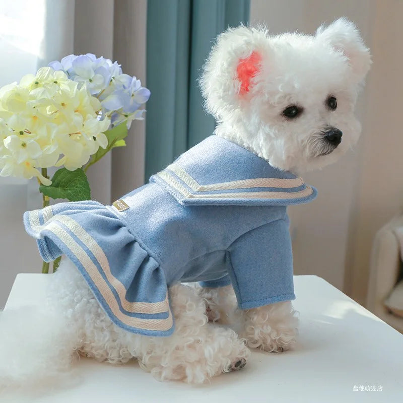 1PC vêtements pour animaux de compagnie chat chien automne et hiver épaissi chaud bleu or étiquette robe de princesse adapté aux chiens de petite et moyenne taille