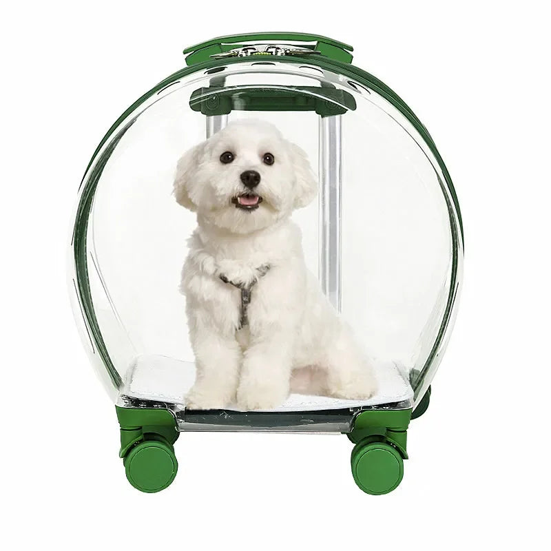 Chariot porte-valise Transparent pour animaux de compagnie, sac de transport pour chats, convoyeurs et poussettes, Cage pour chats avec roulettes, produits pour animaux de compagnie