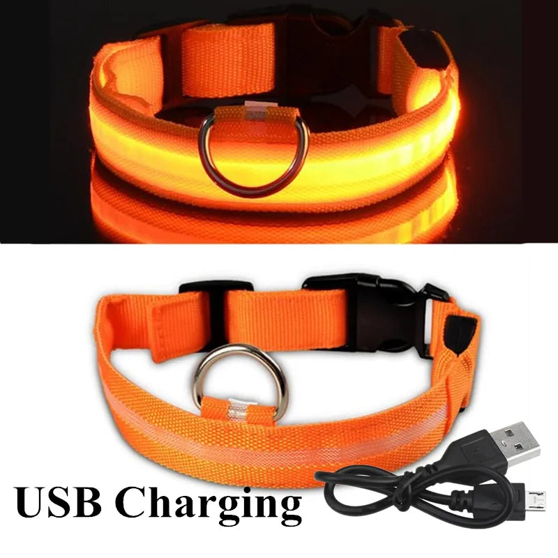 Collares de perro brillantes LED, Collar luminoso impermeable recargable, Collar de luz nocturna ajustable para perro, Collar de seguridad para perros