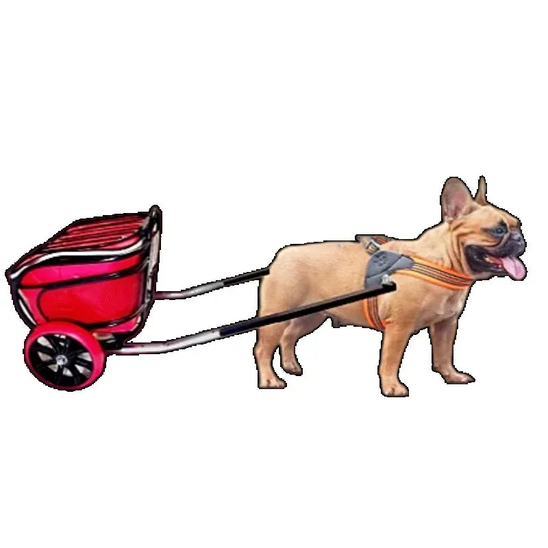 Remorque pour animaux de compagnie à deux roues pour petits chiens, parfaite pour le shopping et les activités de plein air, remorque pour animaux de compagnie, poussette pour chien, transporteur pour animaux de compagnie