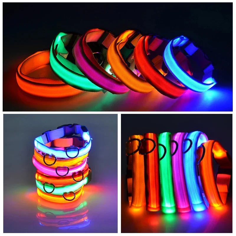 Collar de perro LED con carga USB, luz nocturna de seguridad para perros, Collar intermitente, collares fluorescentes, suministros para mascotas