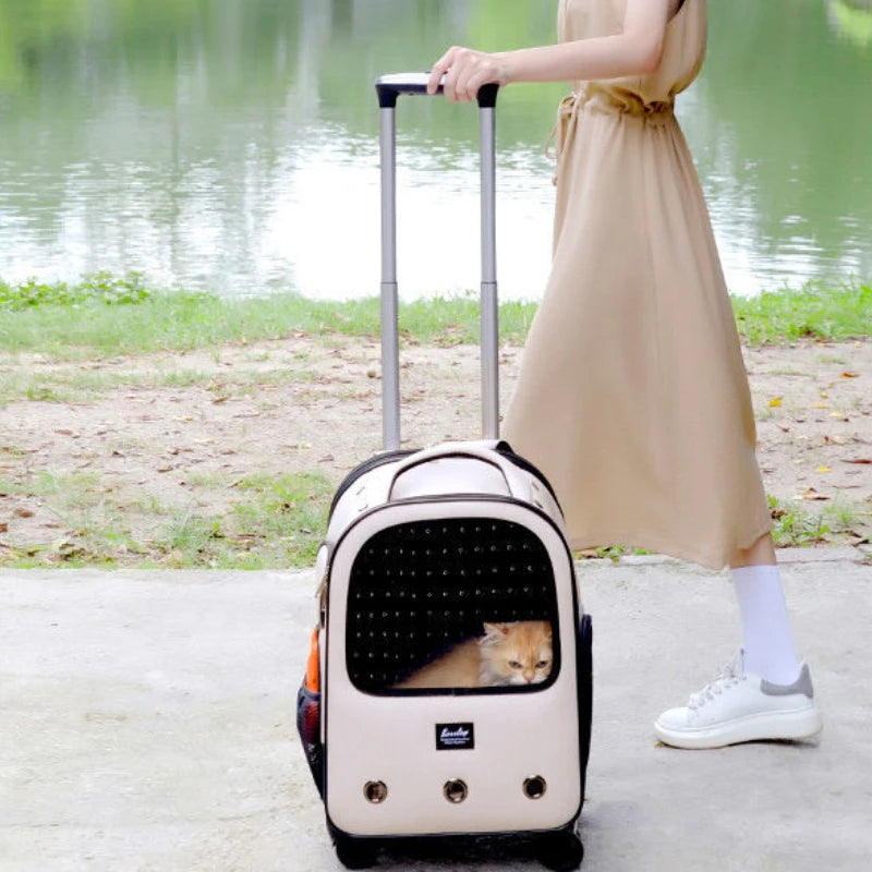 Trolley Pet Backpack Large Space Mute Universal Wheel Cat Bag Folding Trolleys Pets Bags Cats And Dog Carrier