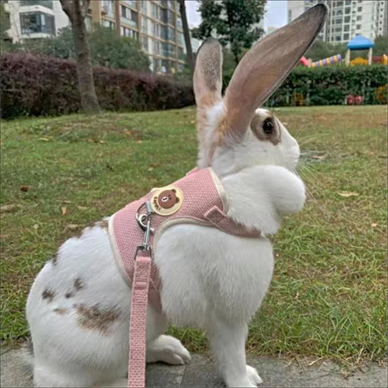 El más nuevo conjunto de arnés y correa de conejo bonito, accesorios para mascotas, chaleco, arneses, correas de conejo para caminar al aire libre, suministros para mascotas