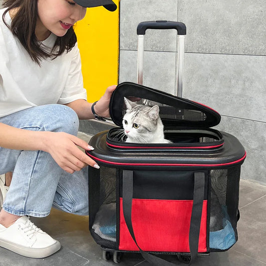 Mochila transportadora para mascotas, bolsa para cochecito de gatos, rueda Universal, portátil de viaje, caja con carrito para mascotas de gran capacidad, rueda Universal