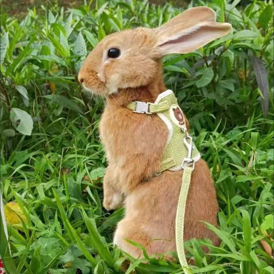 El más nuevo conjunto de arnés y correa de conejo bonito, accesorios para mascotas, chaleco, arneses, correas de conejo para caminar al aire libre, suministros para mascotas