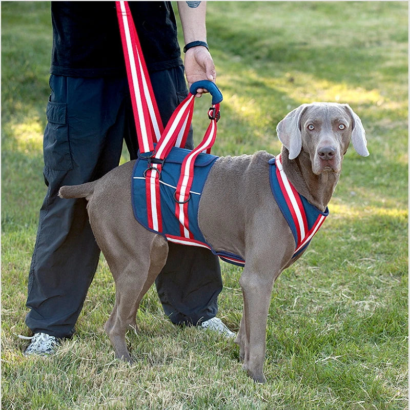 Arnés de asistencia ajustable, soporte para eslinga de elevación, correa para mascotas, accesorios de tracción para perros mayores, correa para entrenamiento y ayuda para el comportamiento