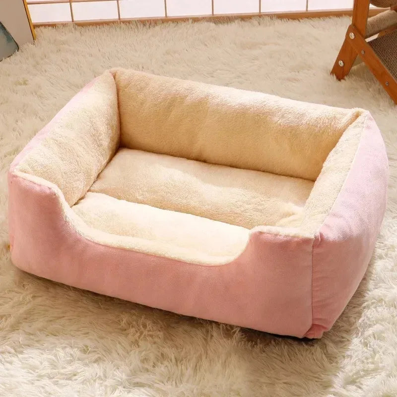 Bed for Cats Pet Products Goods Accessories Dog All Houses Supplies Cushions Kitten Things Accessory Habitats Basket House Beds