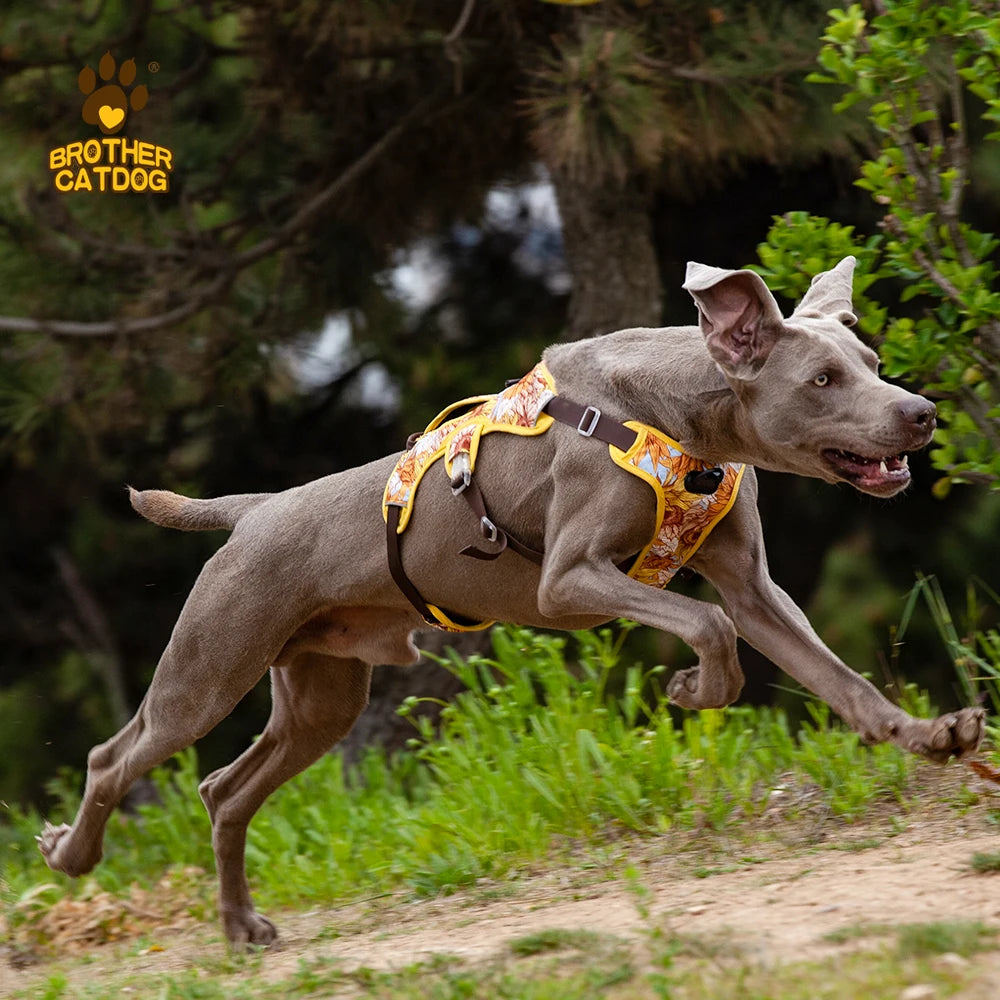 Arnés para perros, artículos para perros, chaleco de entrenamiento para caminar al aire libre, accesorios para perros, chaleco con arnés para mascota reflectante transpirable, suministros para mascotas