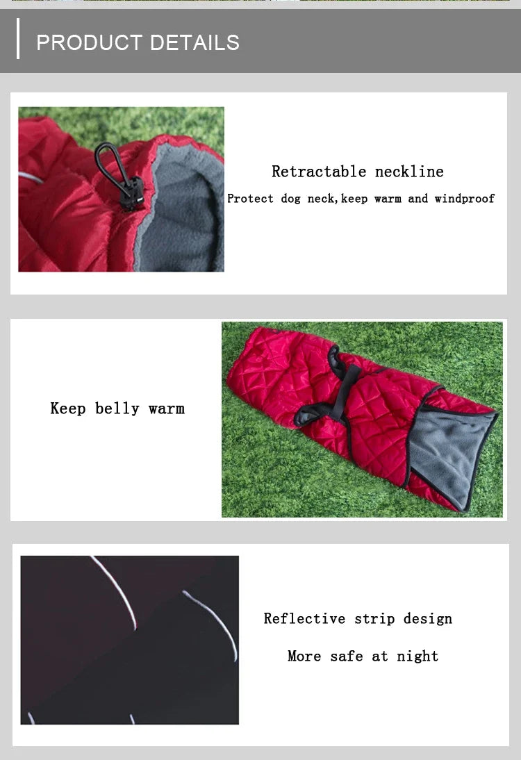 Chaqueta para exteriores para perros, abrigo reflectante impermeable para mascotas, chaleco de invierno cálido de algodón, ropa para perros grandes y medianos, Labrador