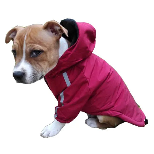 Otoño Invierno perro mascota impermeable abrigo cálido chaqueta con capucha de algodón la cara del perro perros pequeños gato reflectante ropa para mascotas abrigo de invierno