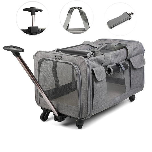 Boîtier de chariot Portable pour animaux de compagnie, roue universelle détachable, respirant, pliable, grande capacité, sac de voyage pour chiot, transporteur respirant pour chat