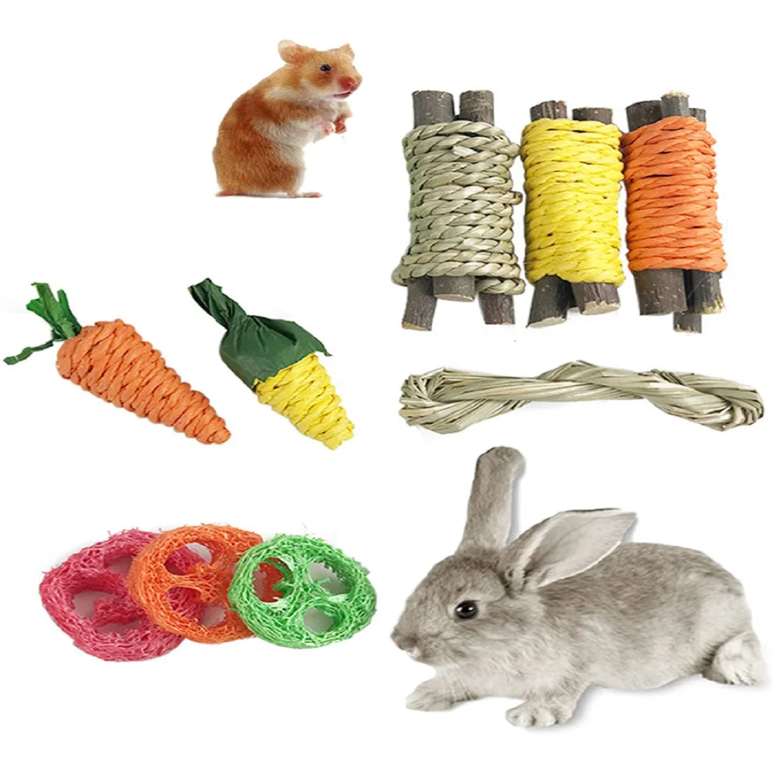 Animal de compagnie lapin cochon d'inde Dragon chat jouet amusant Hamster lapin dent de lapin ensemble de meulage de dents d'animal de compagnie collations de meulage de dents