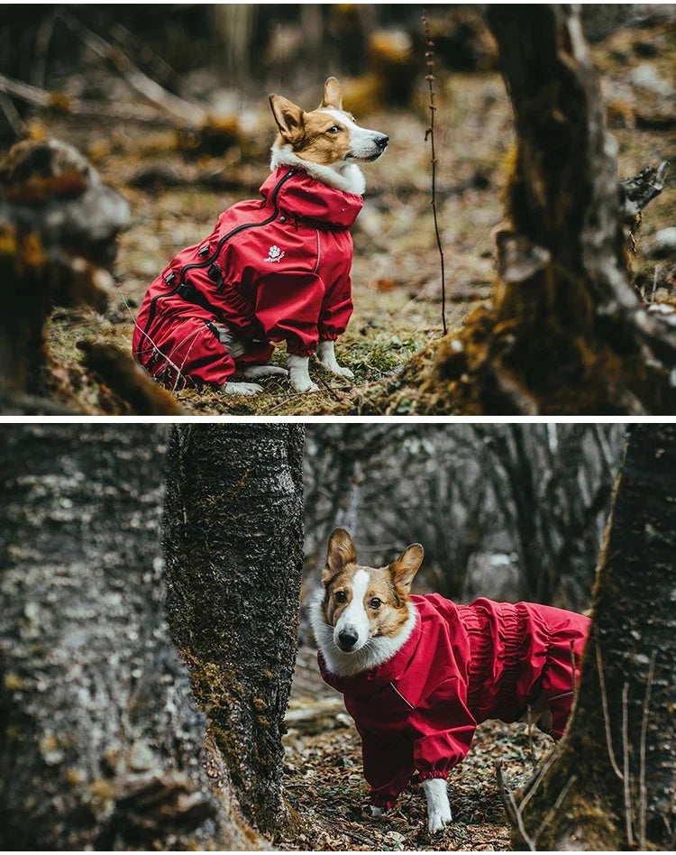 Abrigo para perros, chaqueta para exteriores, impermeable, ropa cálida de invierno, mono grande, impermeable reflectante para perros medianos y grandes