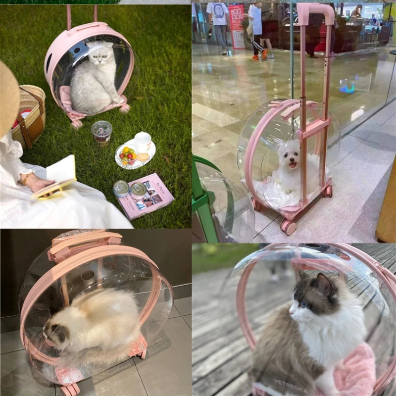 Chariot porte-valise Transparent pour animaux de compagnie, sac de transport pour chats, convoyeurs et poussettes, Cage pour chats avec roulettes, produits pour animaux de compagnie