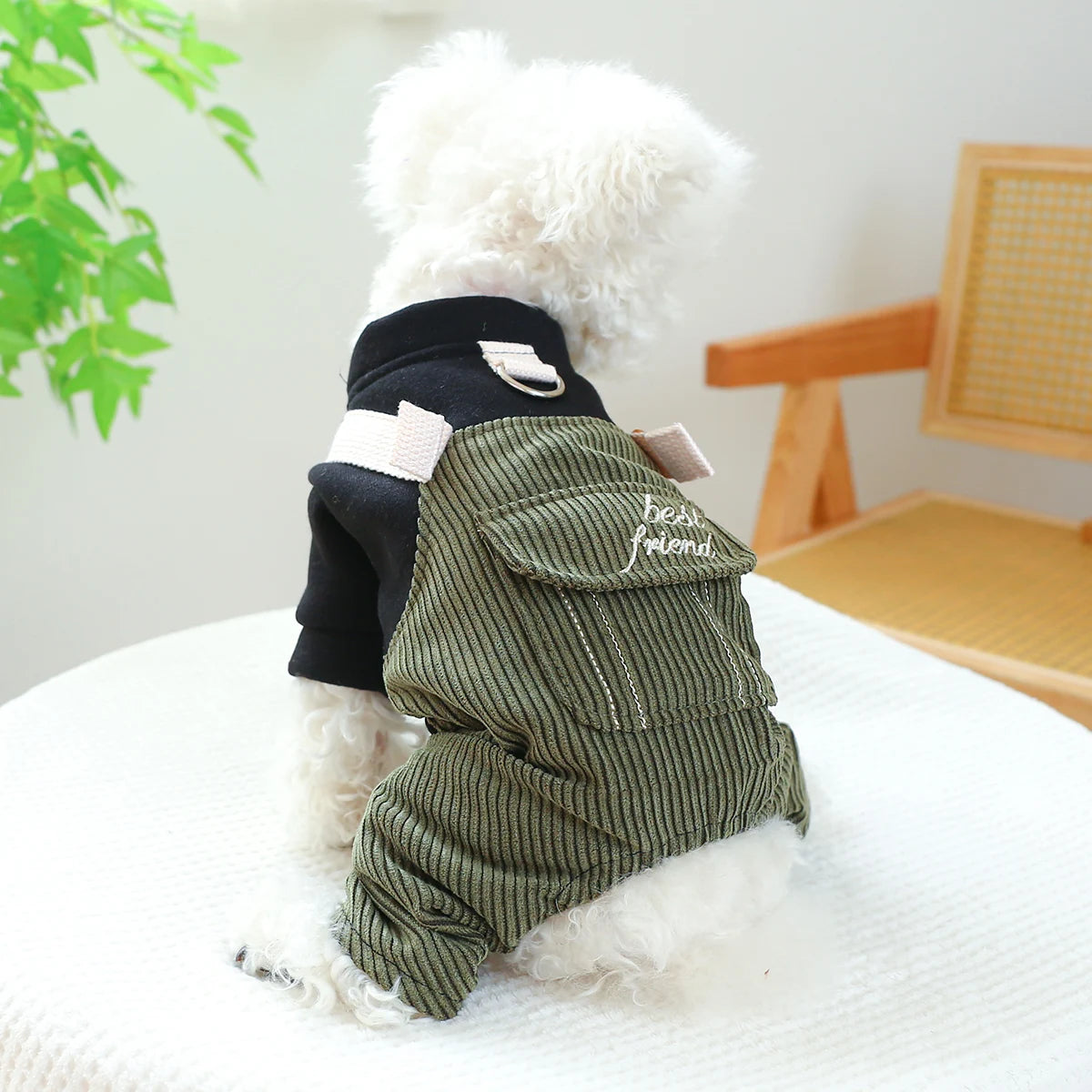 1PC Pet Apparel Dog Spring and Autumn Army Green Best Friend Four Legged Strap Pants With Drawstring Buckle For Small Medium Dog