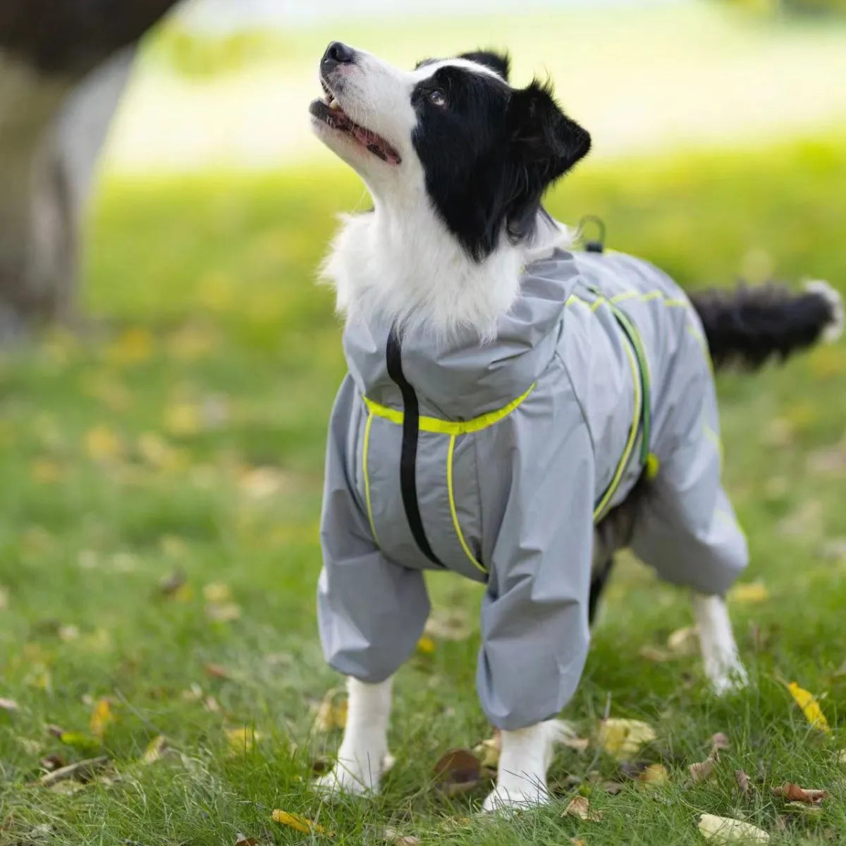 Chubasquero para perros grandes, suave, transpirable, a prueba de nieve, resistente al viento, chaqueta de lluvia para mascotas, abrigo impermeable de seguridad para perros al aire libre con patas