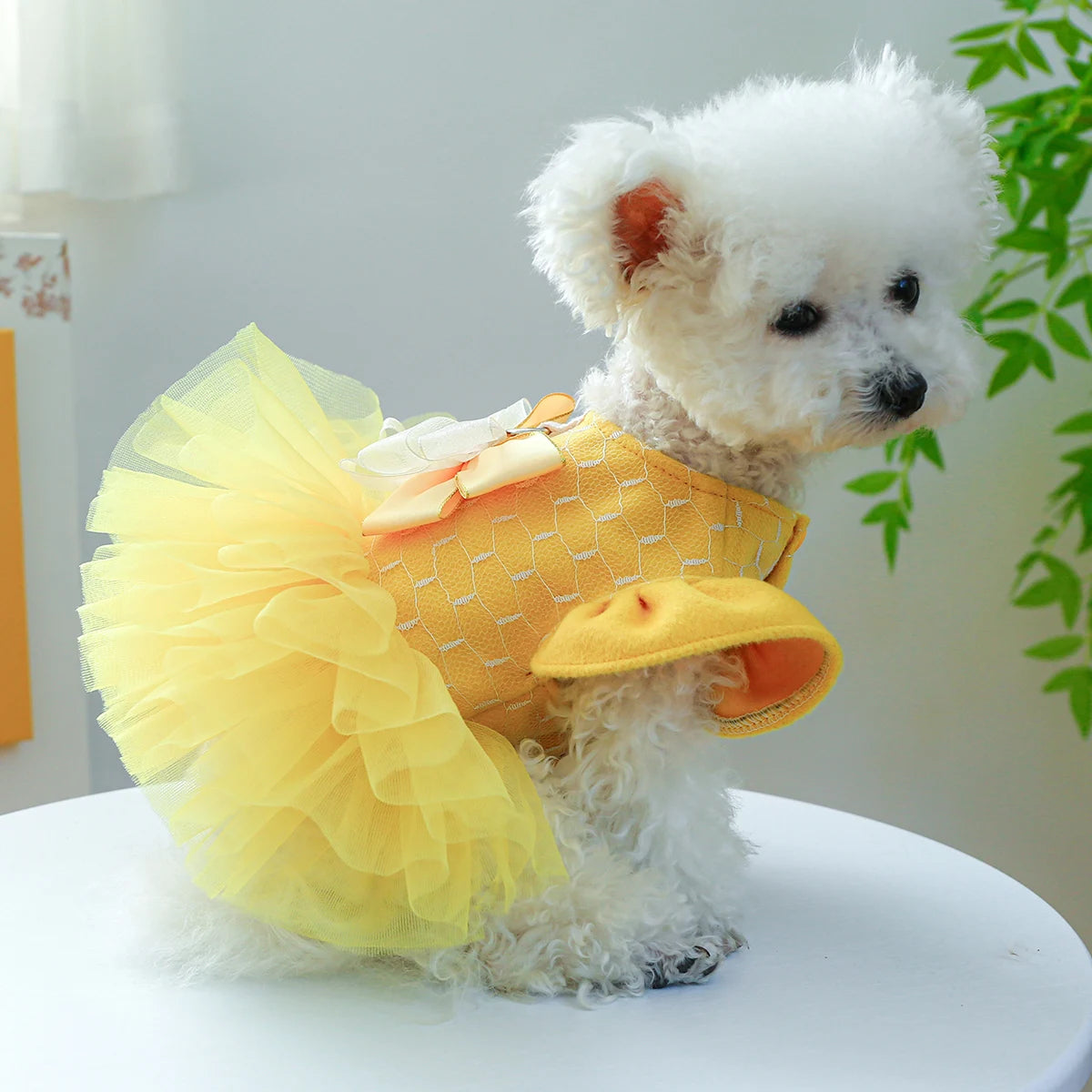 Vêtements pour animaux de compagnie, 1 pièce, automne et hiver, jaune, manches volantes, robe de princesse avec nœud, avec boucle à cordon, pour petits et moyens chiens