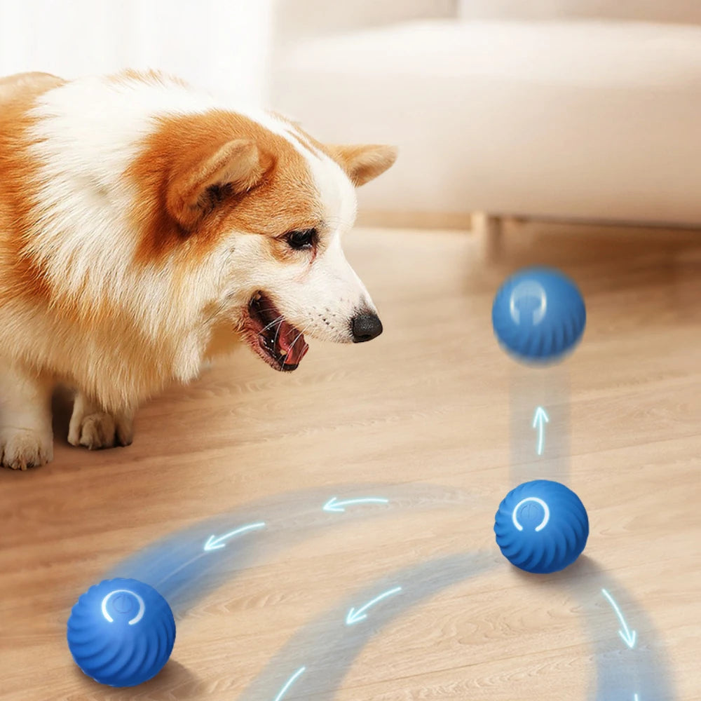 Pelota de juguete para perros inteligente, pelota rodante que rebota en movimiento automático, juguete electrónico interactivo para mascotas, regalo de cumpleaños para cachorros, producto para perros y gatos