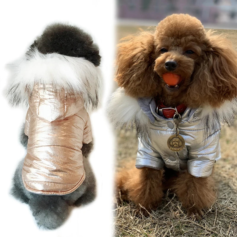 Winter Dog Clothes Luxury Fur Collar Coat for Small Dogs Waterproof Dirt-Proof Puffy Pet Jacket with Removable Hood for Yorkies