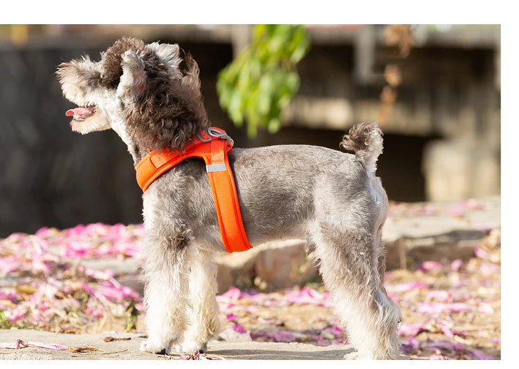 Portabebés para perros pequeños, hebilla en D de aluminio, gancho para caminar y bucle, accesorios portátiles para ponerse y quitarse