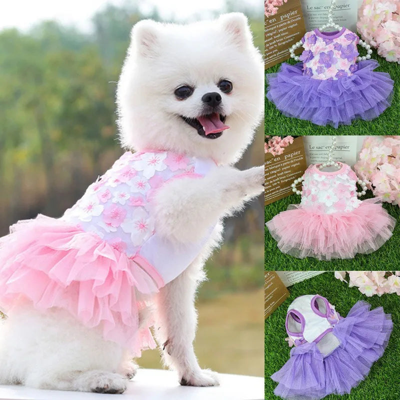 Dog Summer Dress Cat Lace Chiffon Skirt Pet Clothing Chihuahua Skirt Puppy Cat Princess Apparel Puppy Clothe Dog Accessories