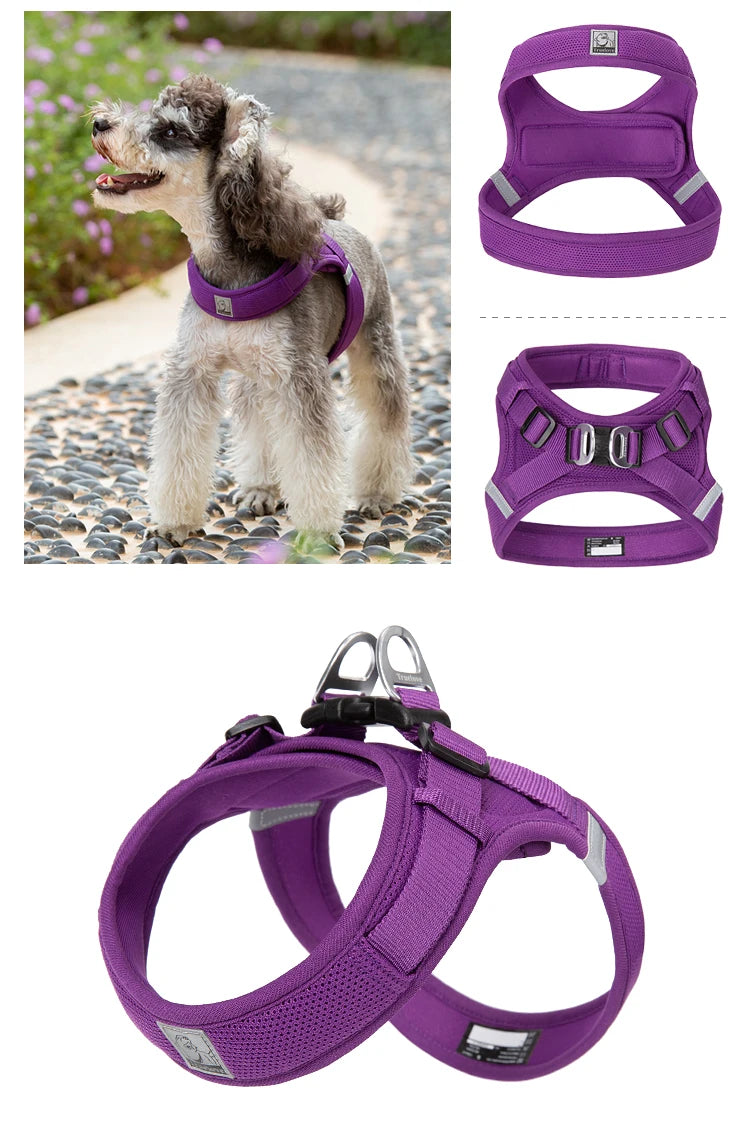 Portabebés para perros pequeños, hebilla en D de aluminio, gancho para caminar y bucle, accesorios portátiles para ponerse y quitarse