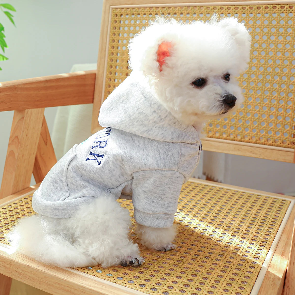 Vêtements pour animaux de compagnie, 1 pièce, printemps et automne, New York, poche, gris, manteau à capuche décontracté avec boucle à cordon pour petits et moyens chiens