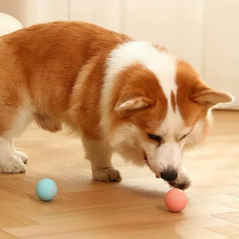 Nuevos juguetes para Perro inteligente, bola rodante automática, juguetes eléctricos para perros pequeños, divertidos juegos para cachorros con movimiento automático, juguetes interactivos para interiores para mascotas