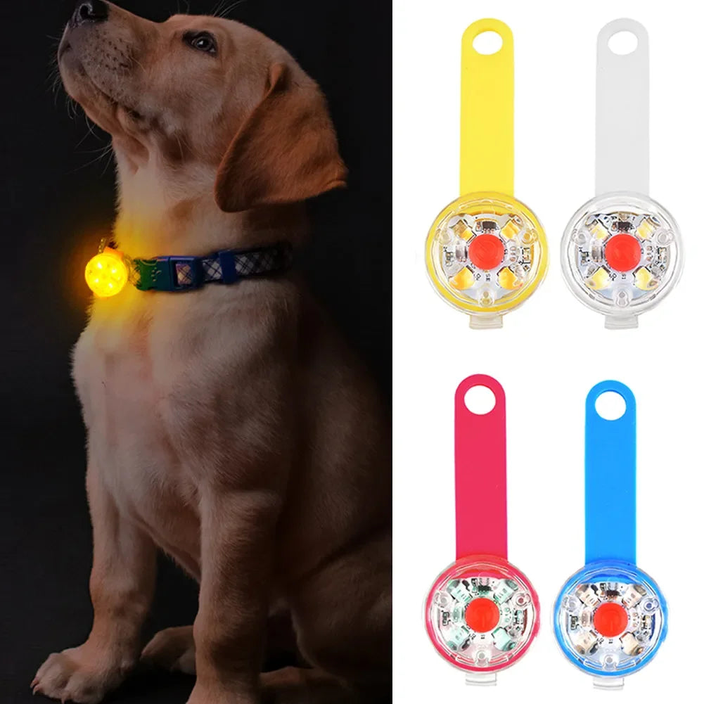 Colliers Anti-perte pour chiens, pendentif de sécurité étanche, lumière clignotante LED, LED rechargeable par USB, pendentif pour chiens, chats, animaux de compagnie