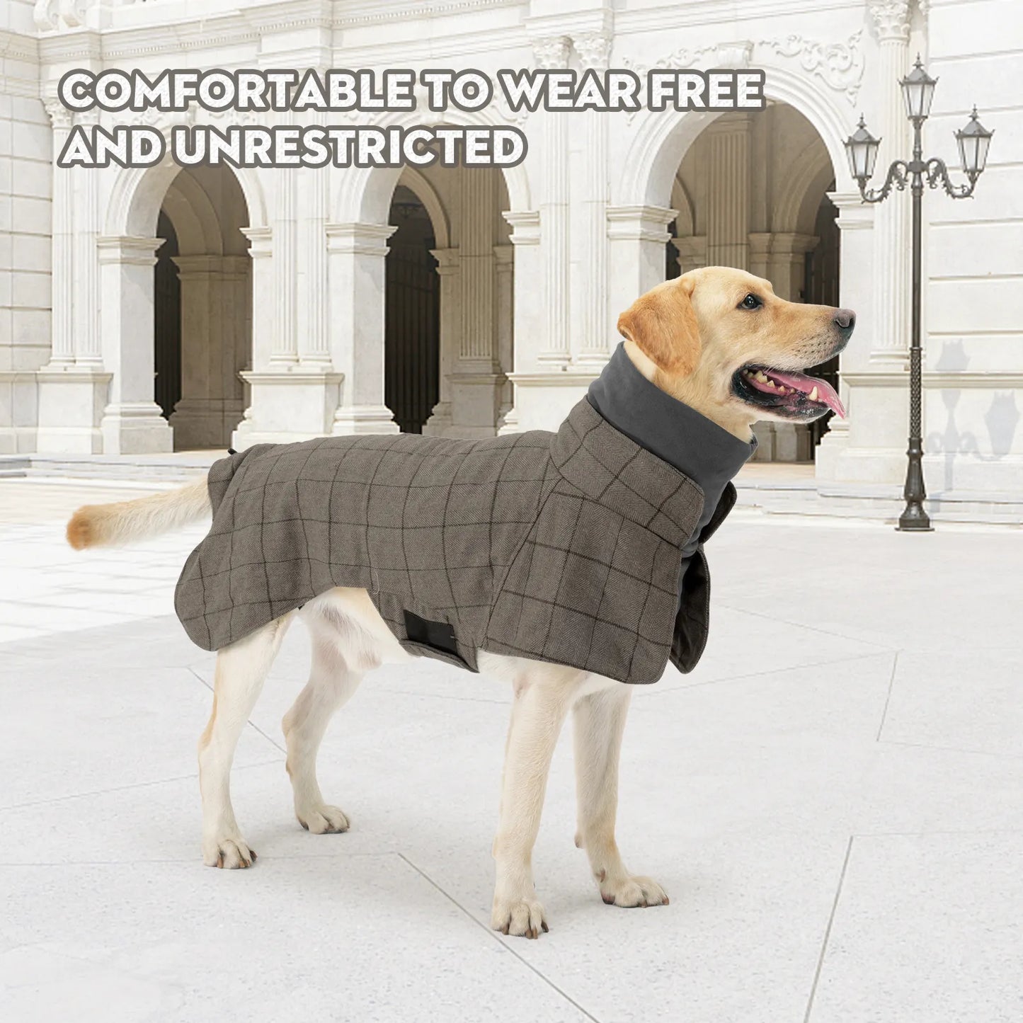 Windproof Plaid Dog Jacket for Male Dogs British Style Autumn Winter Warm Dog Coat Fleece-Lined Adjustable Holiday Formal Dress Fashion Style