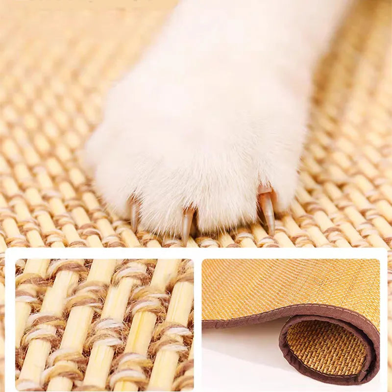 Anti-rayures pour chat, Protection du canapé, artefact de planche à gratter pour chat, tapis d'affûtage des pattes de chat, envoyer des ongles fixes, jouets pour chat