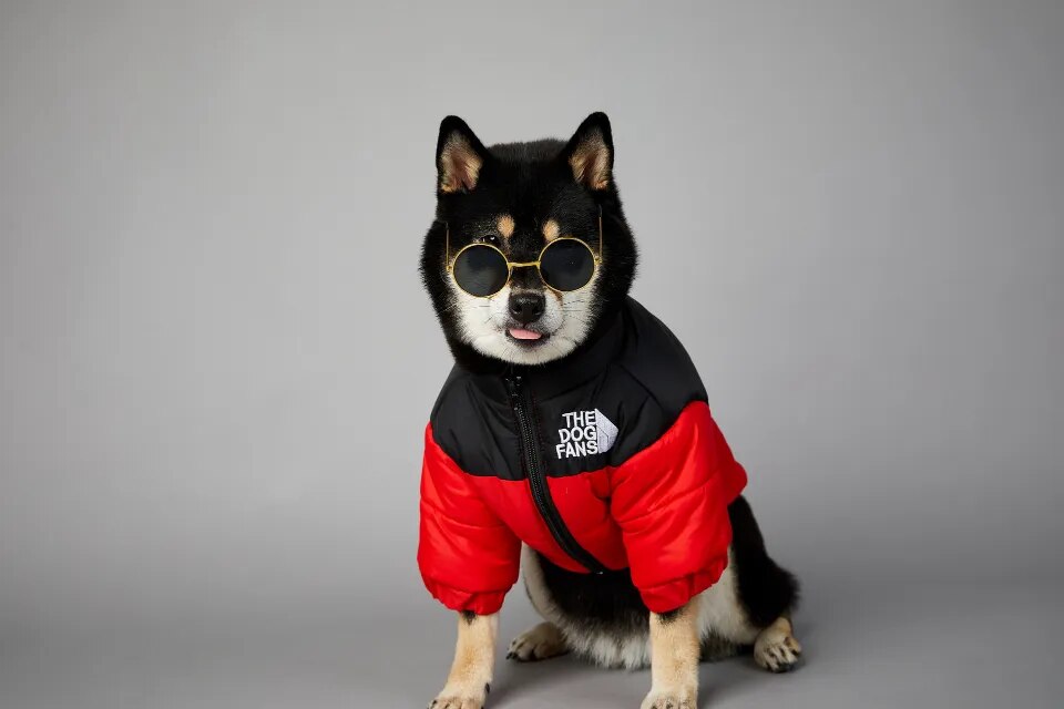 Chaqueta de invierno con cara de perro para perros pequeños y medianos, chaleco grueso y cálido para perros, abrigo para cachorros de Bulldog Francés, estilo de moda