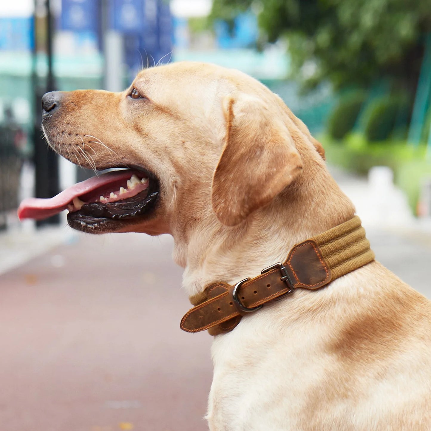 Collar táctico para perros grandes de cuero de vaca, ajustable, duradero, para mascotas, sin escape, sin tirones, para Labrador Doberman, accesorios, estilo de moda