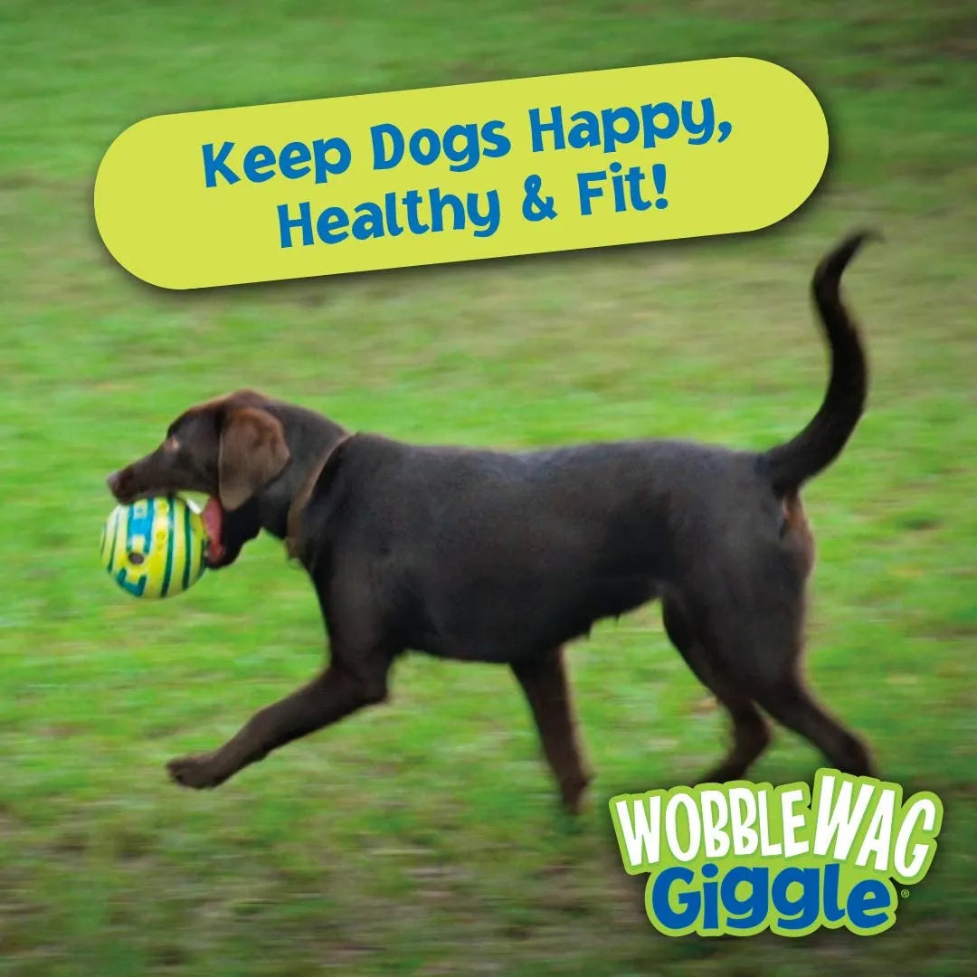 Wobble Wag Giggle Glow Ball jouet interactif pour chien, sons de rire amusants lorsqu'ils sont roulés ou secoués, les animaux de compagnie savent mieux que vu à la télévision