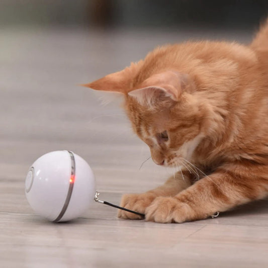 Juguetes interactivos para gatos, juguetes eléctricos automáticos rodantes para Gato elegante para gatos, juguetes de entrenamiento para gatos con movimiento automático